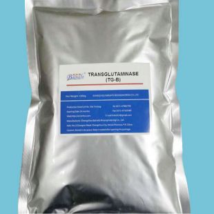 Transglutaminase TG-B