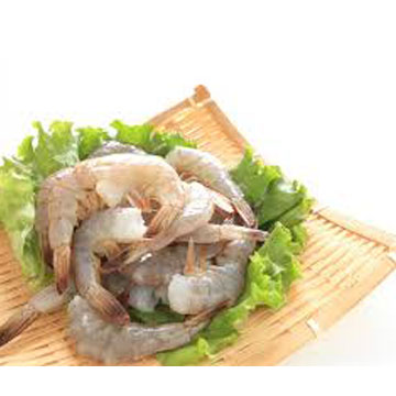 White Shrimp