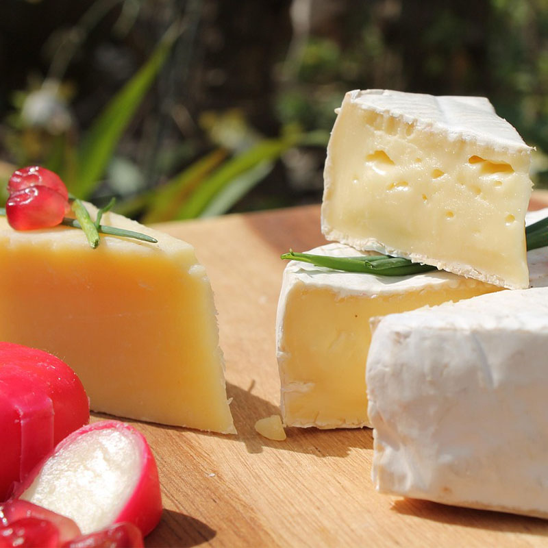 Hard Cheese