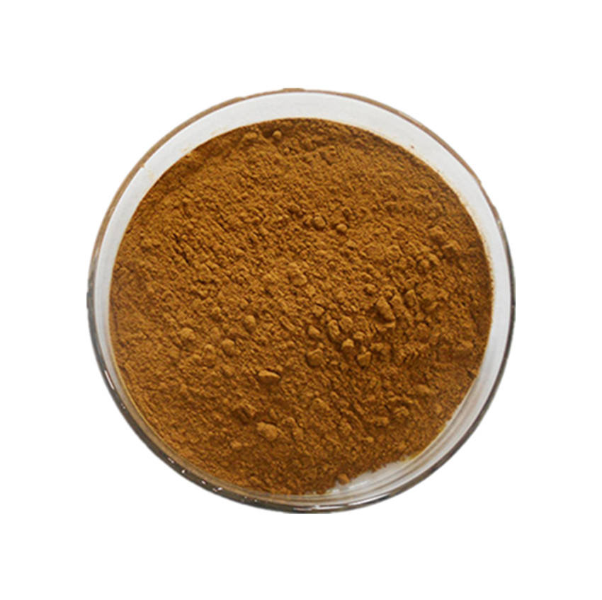 Tea Polyphenols