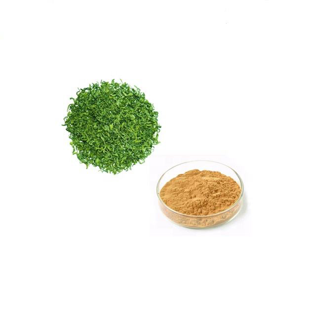 Tea Polyphenols